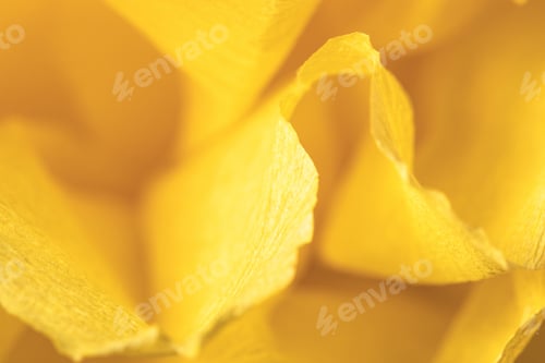 Preview: Fragment of a yellow flower made of crepe paper. Macro photography