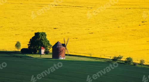 Preview: Wind mill in spring fields.