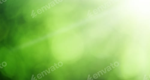 Visualização: Fundo natural verde brilhante em forma de bokeh