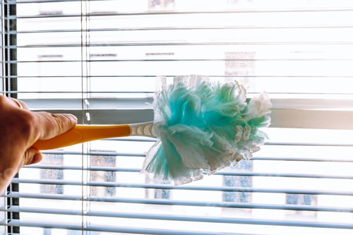 Preview: Means for cleaning in apartment pipidastr
