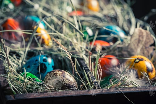 Preview: Closeup of colourfull Easter eggs with hay and feathers