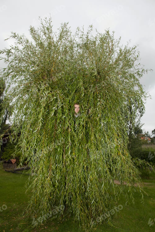 Preview: Teenage boy hiding in mossy tree