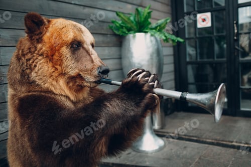 Preview: Bear plays trumpet