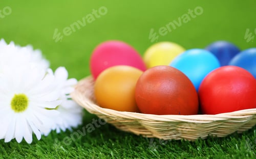 Preview: Easter eggs fun colorful in basket and white flower closeup green blur background