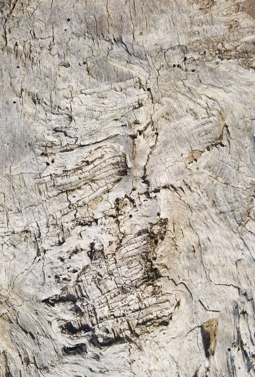 Preview: a close up of a rock face with a line of paint on it