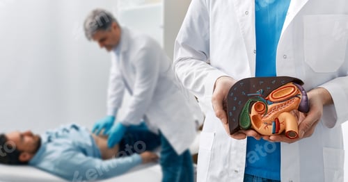 Preview: Human liver disease, diagnosis and treatment. Doctor gastroenterologist showing liver anatomical