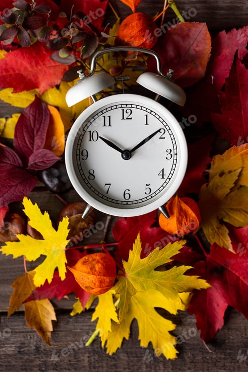 Preview: Fall winter time change concept. Autumn composition with retro alarm clock, bright yellow and red