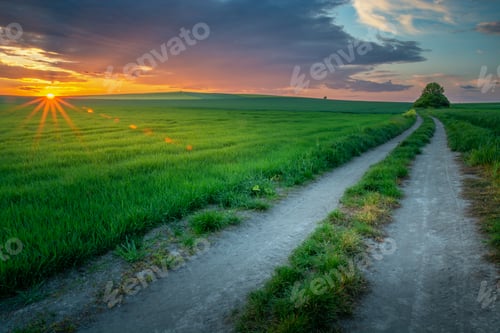 Preview: Wonderful evening rural landscape, fields and road after sunset