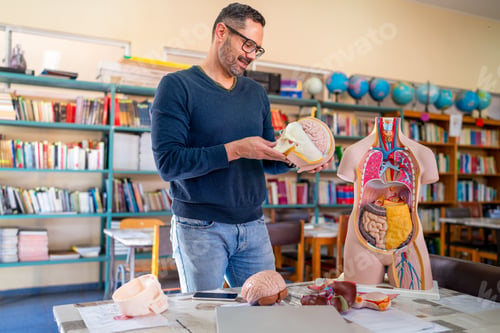Preview: Teacher explaining human anatomy using skull model