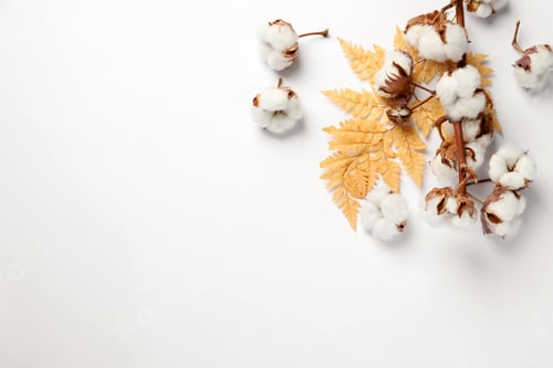 Preview: Fluffy cotton flowers and decorative leaf on white background, flat lay. Space for text