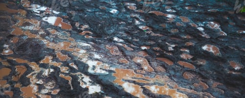 Preview: wet human footprint track on dirty mud, print, texture of foot path pattern background
