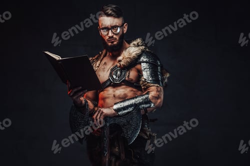 Preview: Holding a book and axe scandinavian warrior