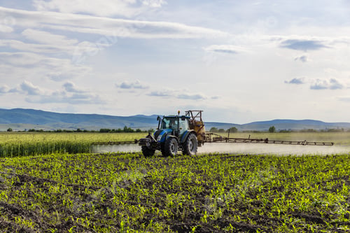 Preview: Tractor spray fertilizer on corn field