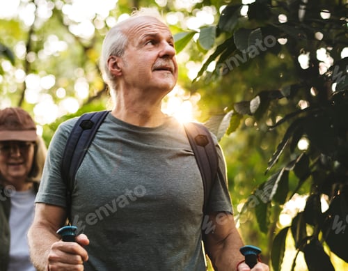 Preview: Seniors trekking in a forest