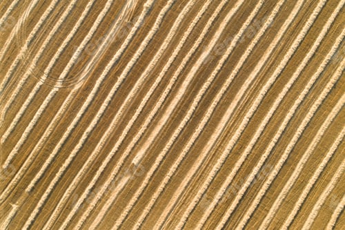Preview: Scenic abstract agricultural fields. Aerial view.