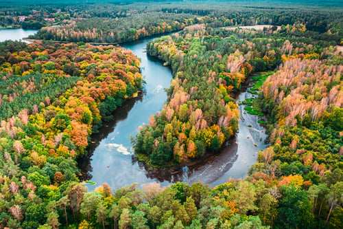 Preview: Small river and autumn forest. Aerial view of wildlife, Poland