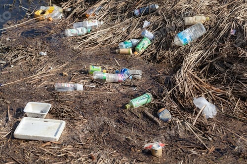 Preview: Plastic Waste Abandoned on the Riverbank