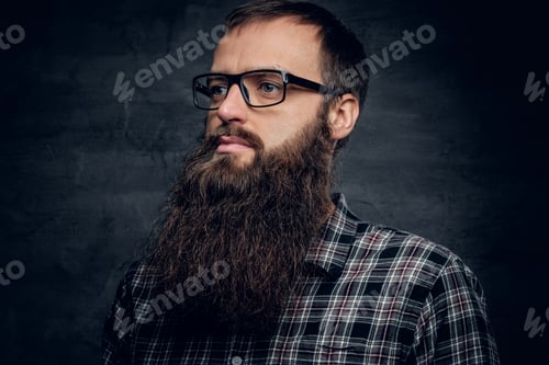 Preview: A bearded male in sunglasses dressed in a plaid shirt.