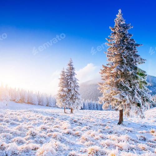 Preview: Mysterious winter landscape majestic mountains in winter. Magical winter snow covered tree. Winter