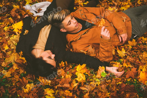 Preview: Lovely couple in autumn park