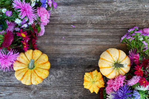 Preview: pumpkin on table