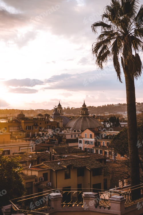 Preview: palm tree and buildings during sunrise in Rome, Italy