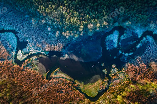 Preview: Aerial view of multi colored swamp in autumn