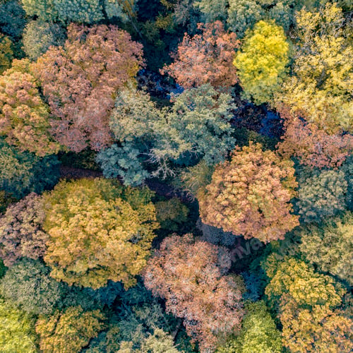 Preview: city park in october autumn colors