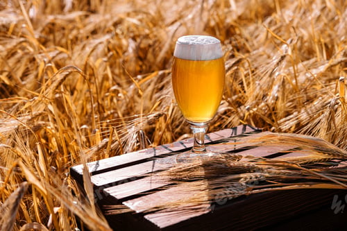 Preview: Glass of beer against wheat field