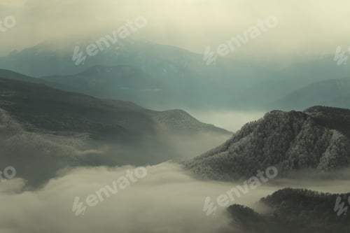 Preview: Fog In The Mountains In The Early Sunny Morning