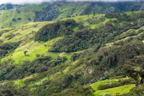 Preview: Rugged Hilly Landscape