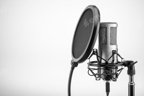 Preview: Condenser professional microphone with black pop filter on stand. Copy space.
