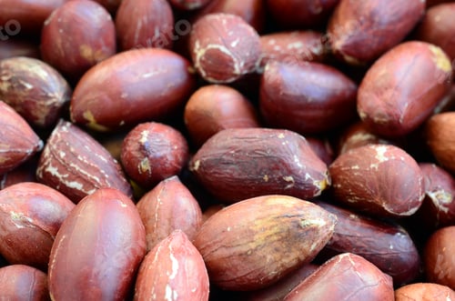 Preview: Peanut. A lot of small yellow nuts with brown peel. Background texture