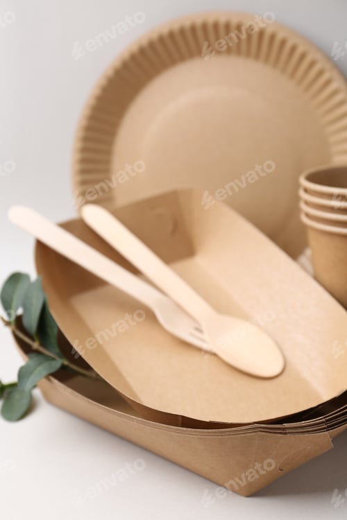 Preview: Set of disposable tableware and green leaves on light grey background, closeup