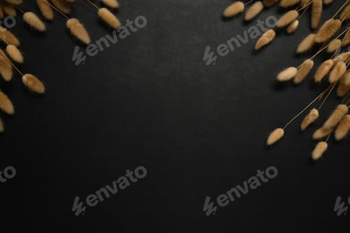 Preview: Dried fluffy bunny tails grass on black background. Flat lay, top view with copy space for text.