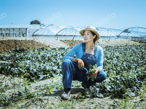 Preview: A Latin American farm woman takes a break on a hot day.