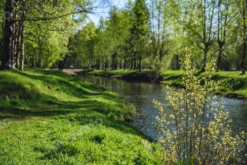Preview: beautiful river in the city in summer