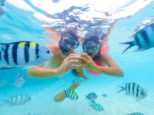 Preview: snorkeling trip at Samaesan Thailand dive underwater with fishes in the coral reef sea pool