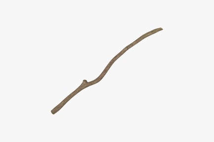 Preview: Natural Curving Wooden Branch