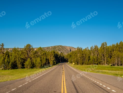 Preview: Highway in Yellowstone National Park