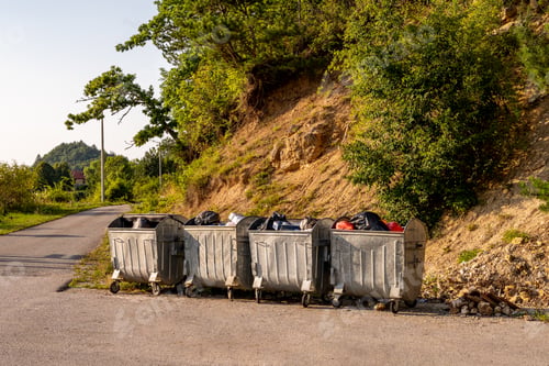 Preview: Metal garbage containers filled with trash on the side of the road in natural daylight