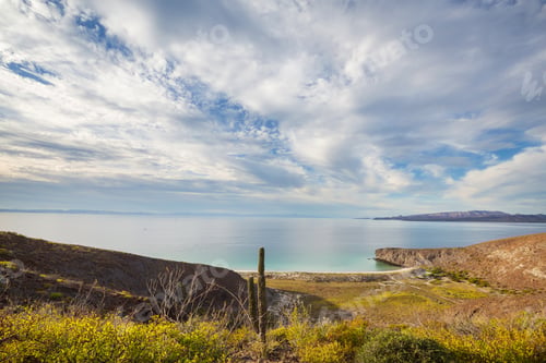 Baja