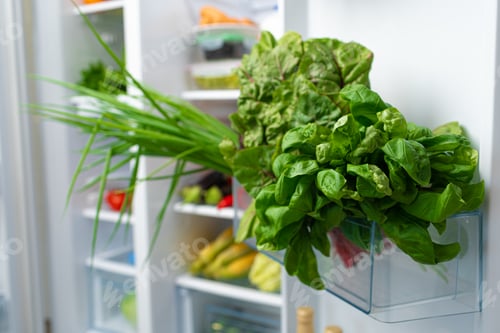 Preview: Fresh green salad on a fridge shelf