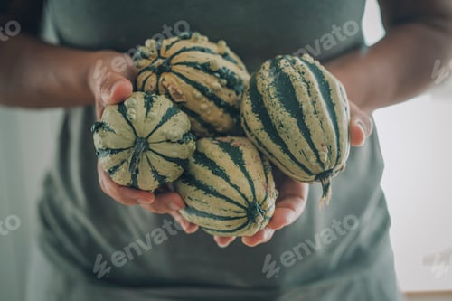Preview: Close up of woman hands holding and showing green pumpkins. October concept lifestyle