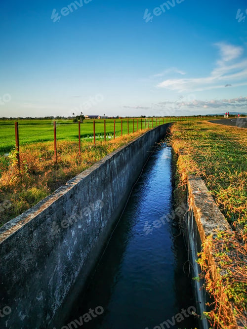 Preview: Paddy field with water drainage system during day time. Selective focus.