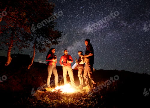 Preview: Happy people stand near fire enjoying company and rest under sky strewn with bright stars