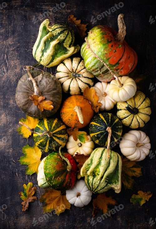 Preview: Autumn fall background with pumpkins