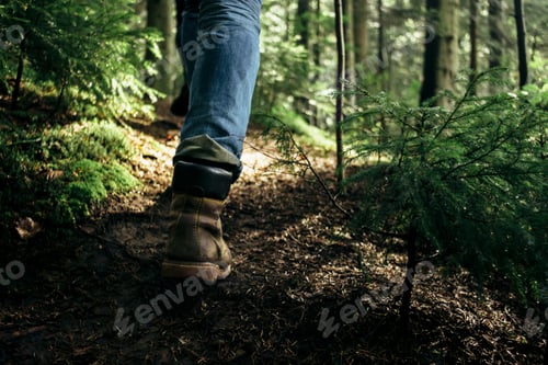 Preview: stylish hipster traveler walking in sunny forest in the mountains