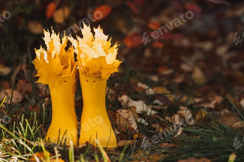 Preview: Yellow rubber boots with yellow leaves on a wooden pallet