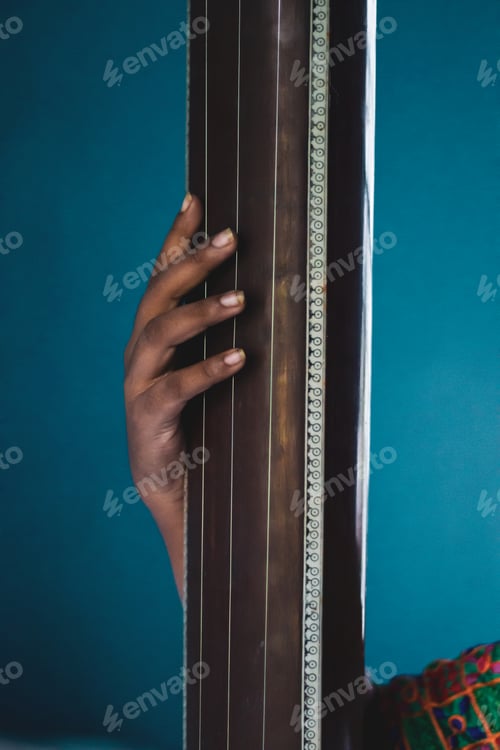 Preview: Middle-aged Indian woman holding an Indian musical instrument tanpura or sitar